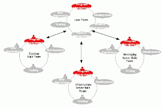 Figure 3: Example of Feature Teams