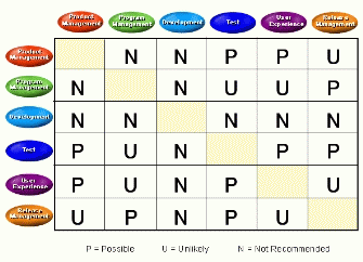 Figure 3: Combining Roles for Small Projects