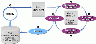 Figure 4: MSF Risk Management Process