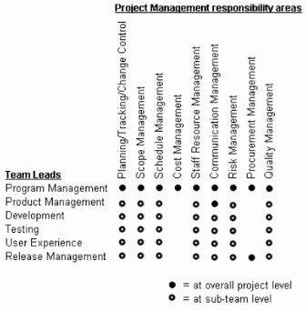 Figure 5: Project Management Responsibilities for Team Leads